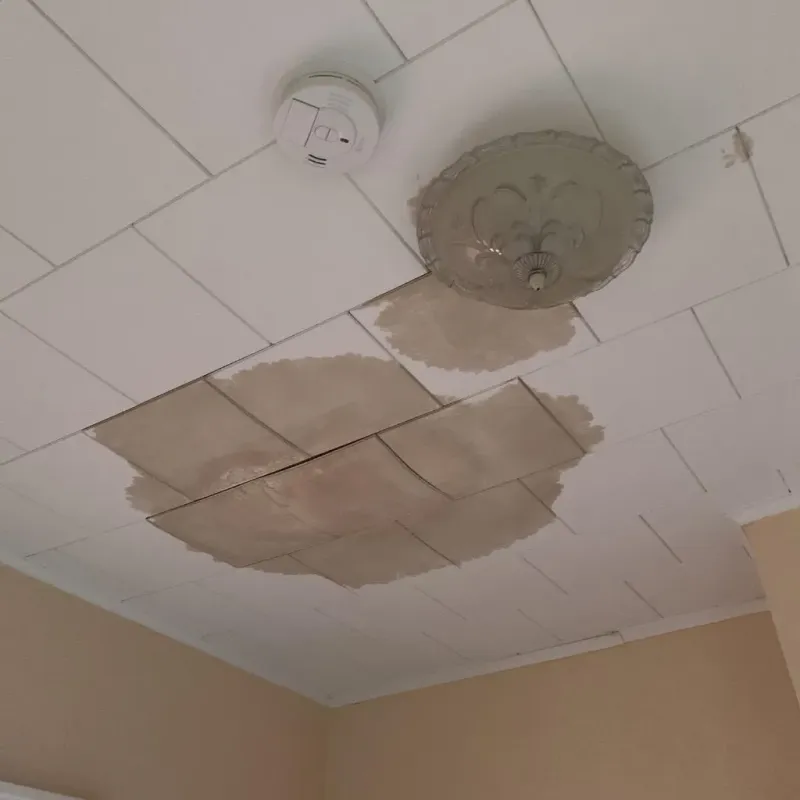 Ceiling Water Damage Repair in Cherryvale, KS