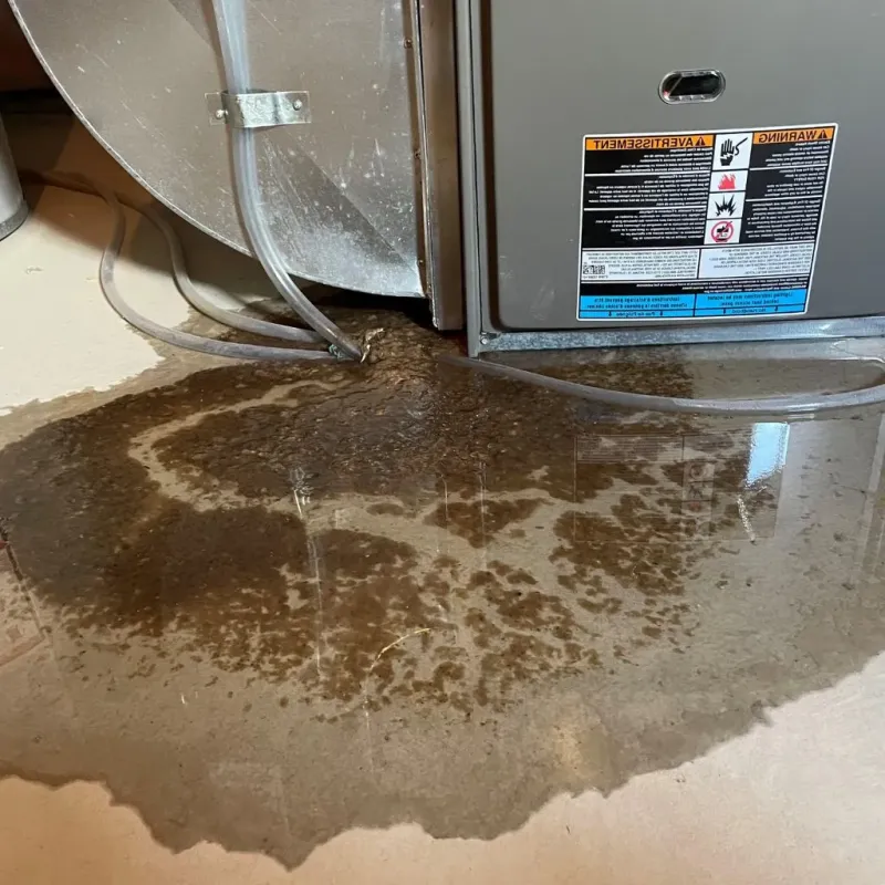 Pipe Burst and Leak Restoration in Cherryvale, KS