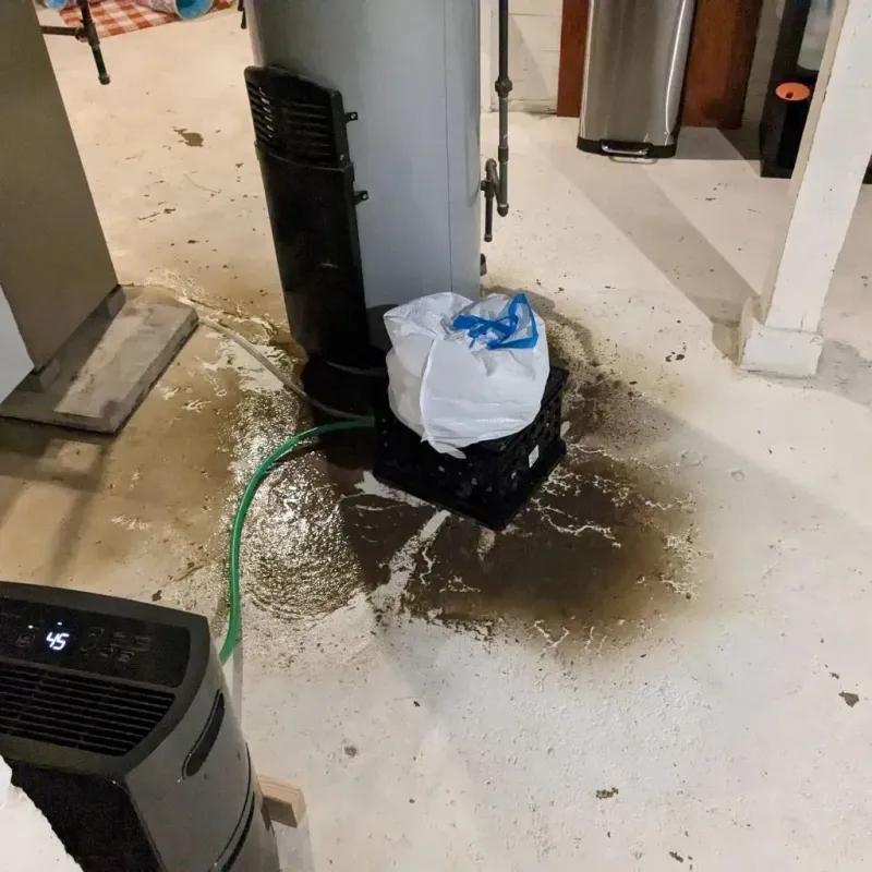 Sewage Backup Cleanup Service in Cherryvale, KS
